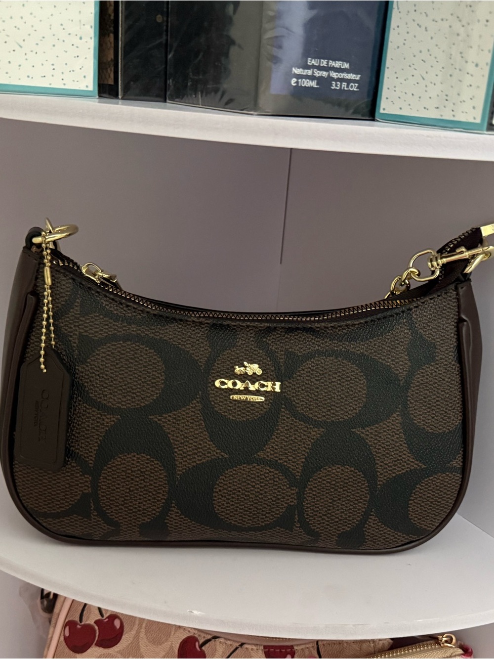 Coach Brown and Dark Brown Signature Mini Shoulder Bag